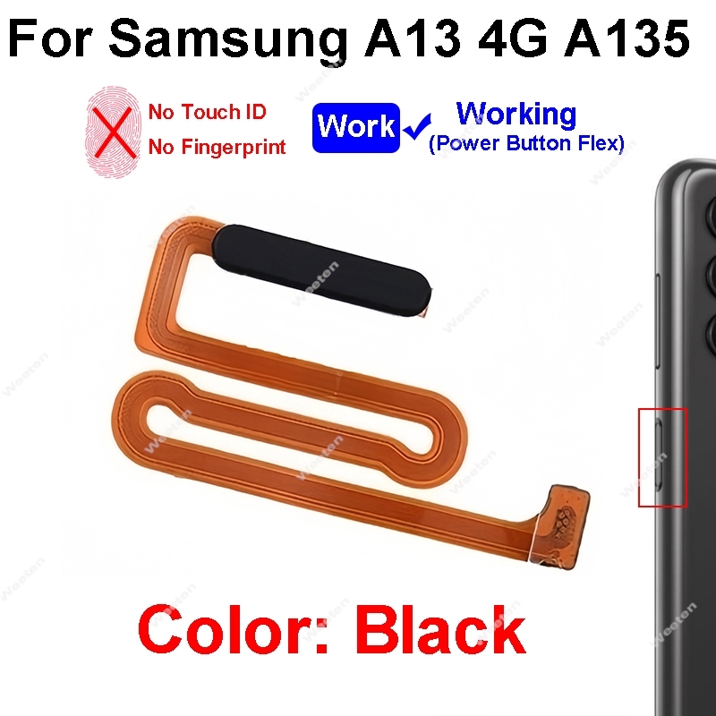 Cable flexible de conector de  - Fingerprint Cable Flex reseña y precio