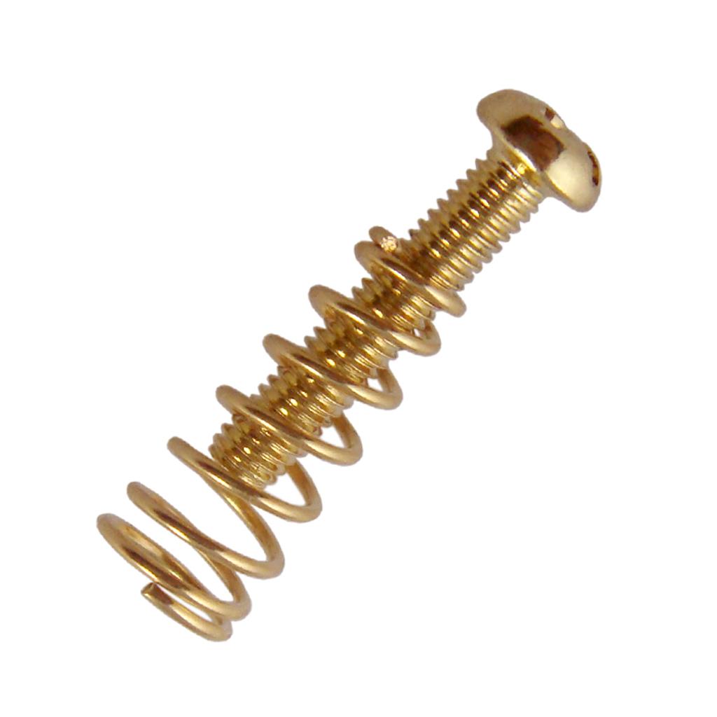 Tornillos para puente de guita - Electronics Repairing reseña y precio